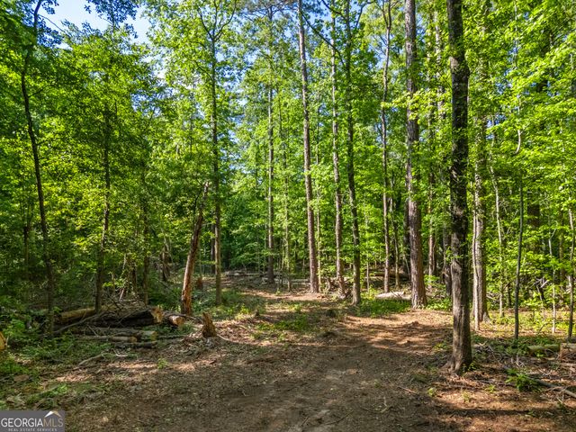 0 Oak Road, Jenkinsburg, GA 30234