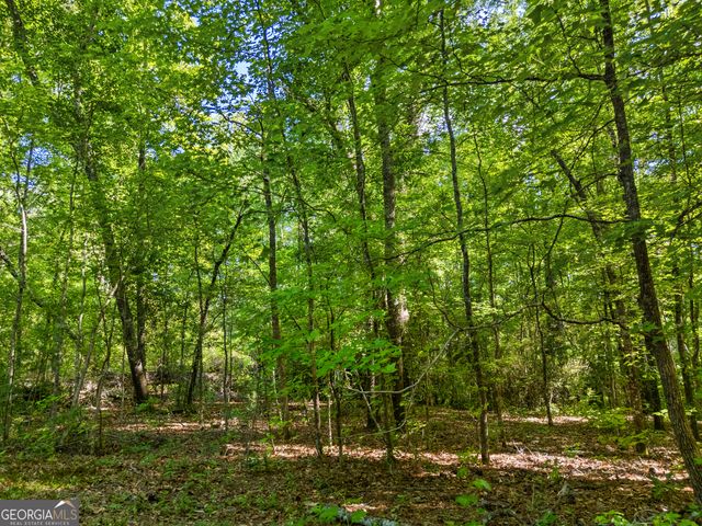 0 Oak Road, Jenkinsburg, GA 30234