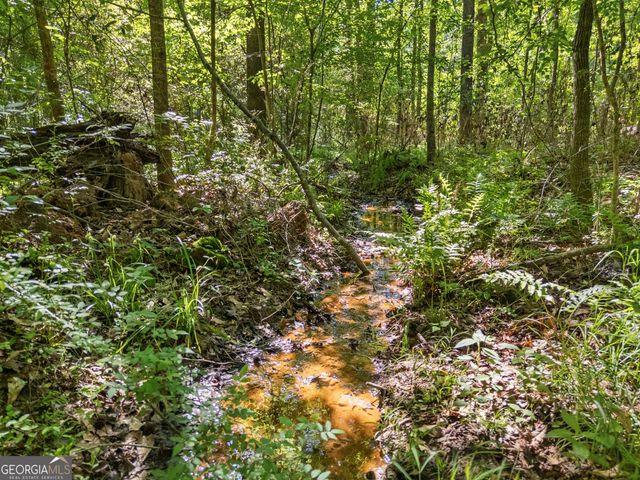 0 Oak Road, Jenkinsburg, GA 30234