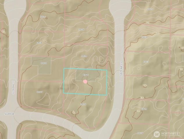 8912 126th Avenue Ct, Anderson Island, WA 98303