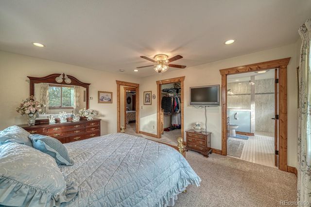 15550 Silver Tip Court, Buena Vista, CO 81211