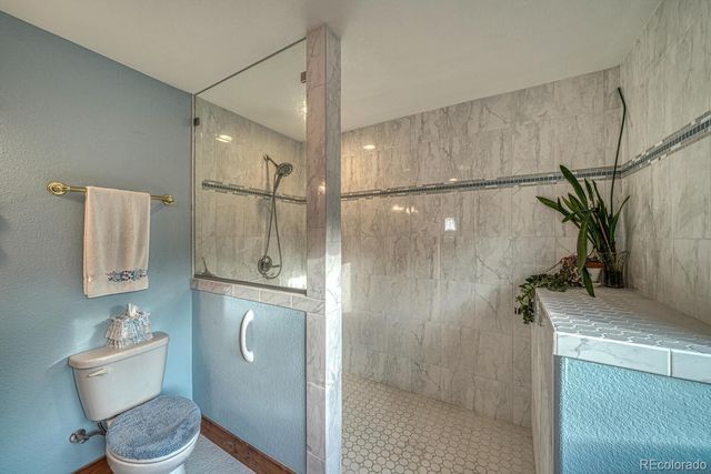 15550 Silver Tip Court, Buena Vista, CO 81211