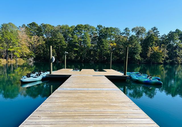 230 Congaree River Drive, Summerville, SC 29485
