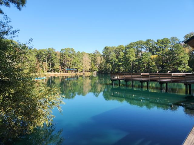 230 Congaree River Drive, Summerville, SC 29485