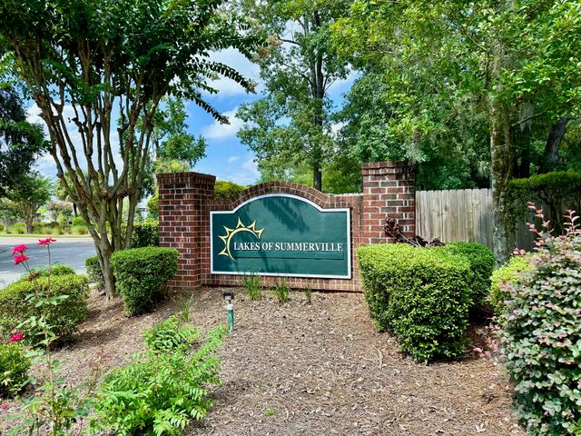 230 Congaree River Drive, Summerville, SC 29485