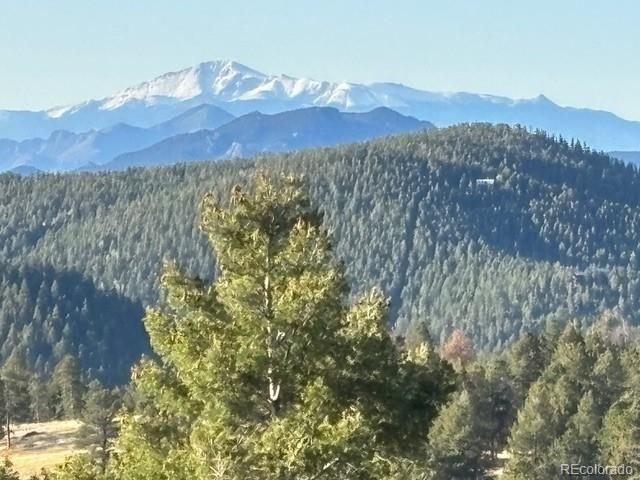 30473 Kings Valley Drive, Conifer, CO 80433