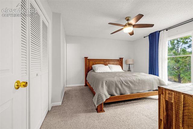 313 Raspberry Lane, Monument, CO 80132