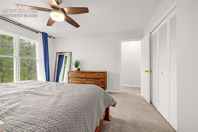 313 Raspberry Lane, Monument, CO 80132