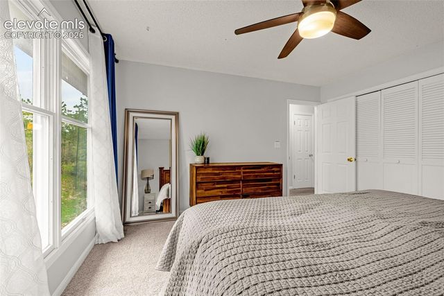 313 Raspberry Lane, Monument, CO 80132