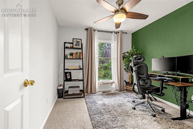 313 Raspberry Lane, Monument, CO 80132