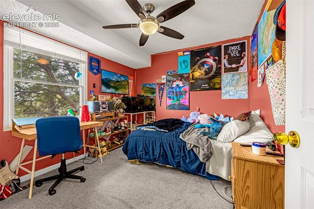 313 Raspberry Lane, Monument, CO 80132