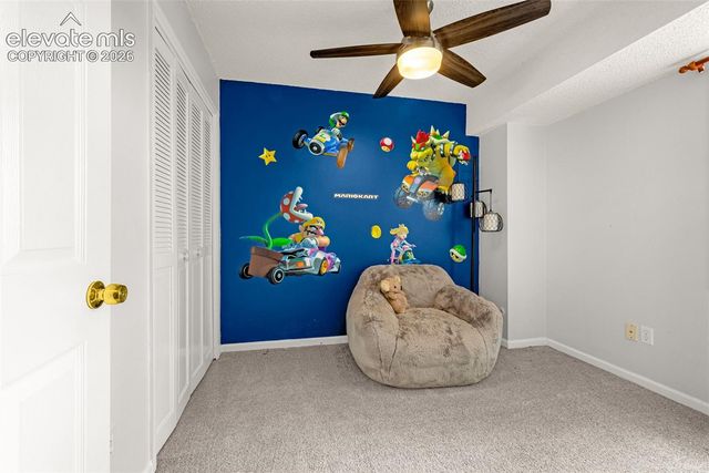 313 Raspberry Lane, Monument, CO 80132