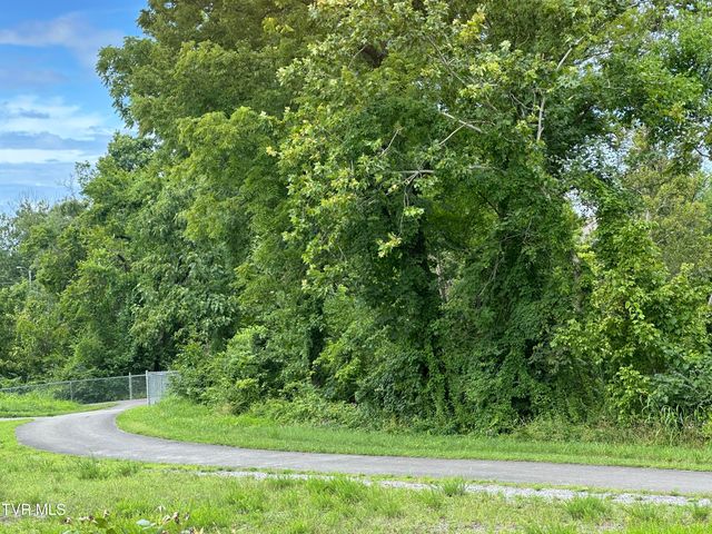 629 Arch Street, Kingsport, TN 37660