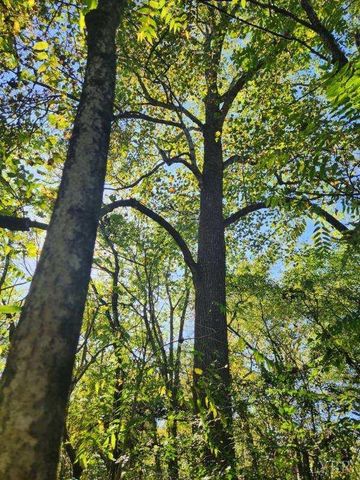 0 Soybean Drive, Appomattox, VA 24522