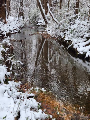 0 Soybean Drive, Appomattox, VA 24522