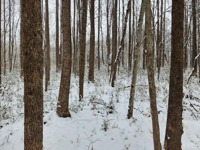 0 Soybean Drive, Appomattox, VA 24522