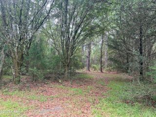 1680 Franks Lane, Bonifay, FL 32425