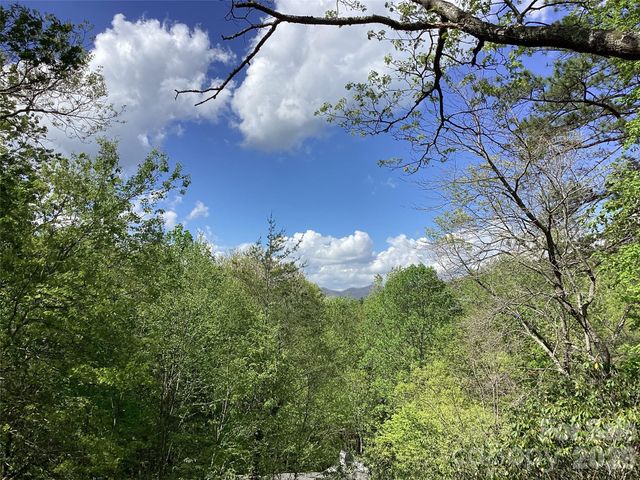 31 Rhododendron Road, Black Mountain, NC 28711