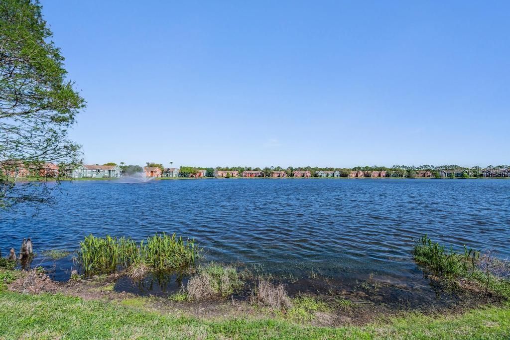 Image 7 of property listing at 9552 LAKE CHASE ISLAND WAY 9552, Tampa, FL 33626
