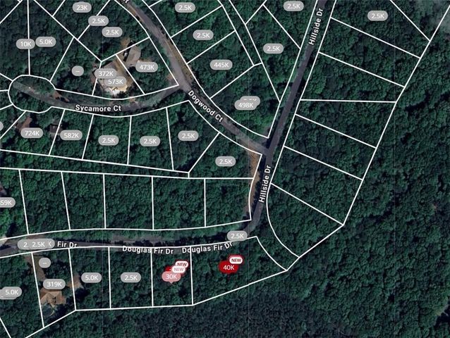 105 Douglas Fir Drive, Waleska, GA 30183