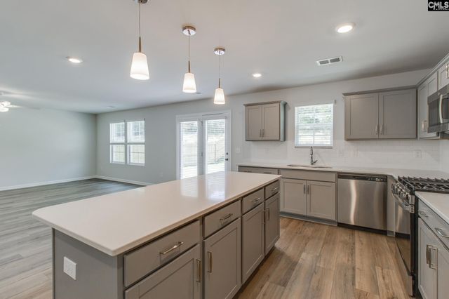 3699 Stedding Place, Lexington, SC 29073