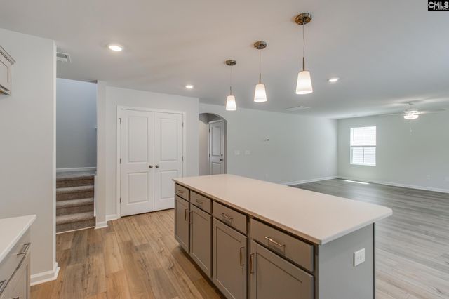 3699 Stedding Place, Lexington, SC 29073