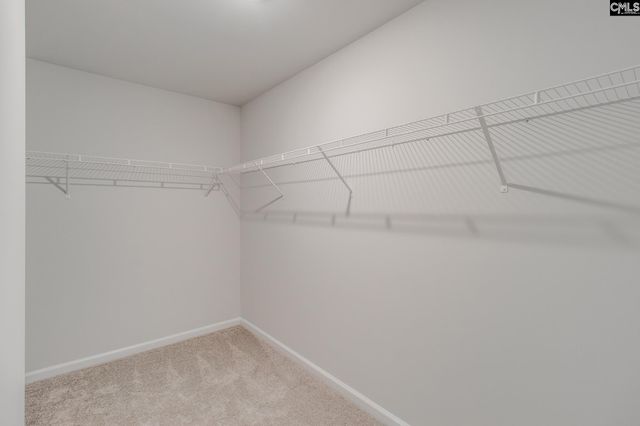 3699 Stedding Place, Lexington, SC 29073