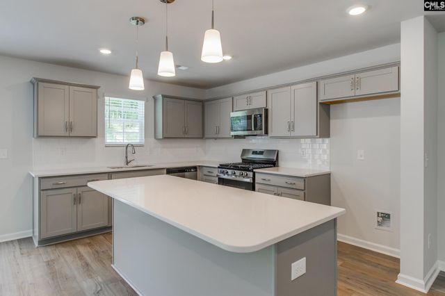 3699 Stedding Place, Lexington, SC 29073