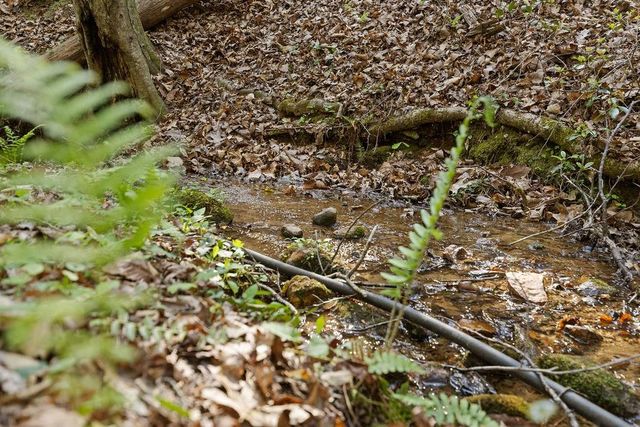 0 Poplar Hollow Road, Ellijay, GA 30540