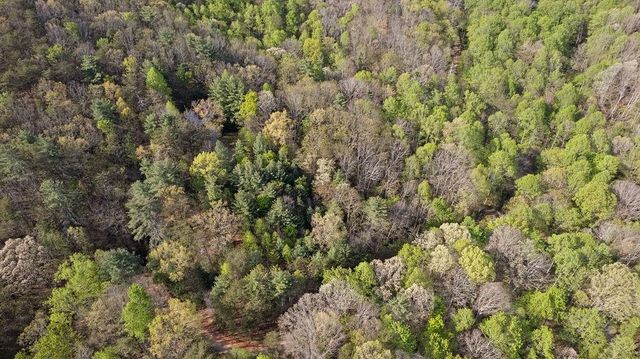 0 Poplar Hollow Road, Ellijay, GA 30540