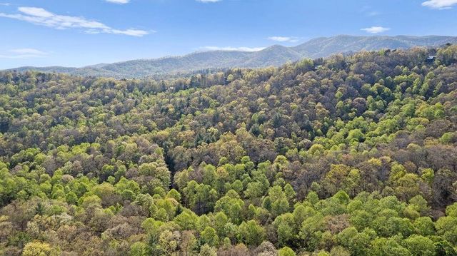 0 Poplar Hollow Road, Ellijay, GA 30540