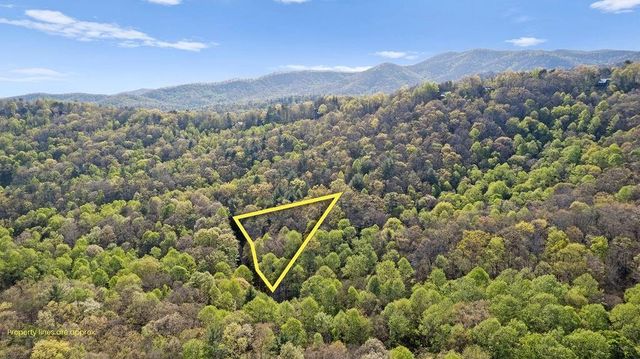 0 Poplar Hollow Road, Ellijay, GA 30540