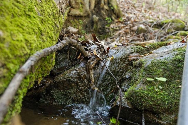 0 Poplar Hollow Road, Ellijay, GA 30540