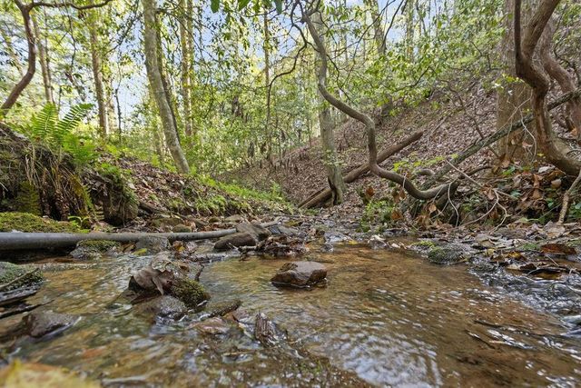 0 Poplar Hollow Road, Ellijay, GA 30540