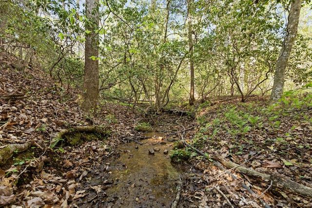0 Poplar Hollow Road, Ellijay, GA 30540