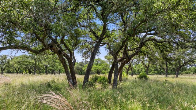 997 Sandy Oaks Ranch Rd, Johnson City, TX 78636