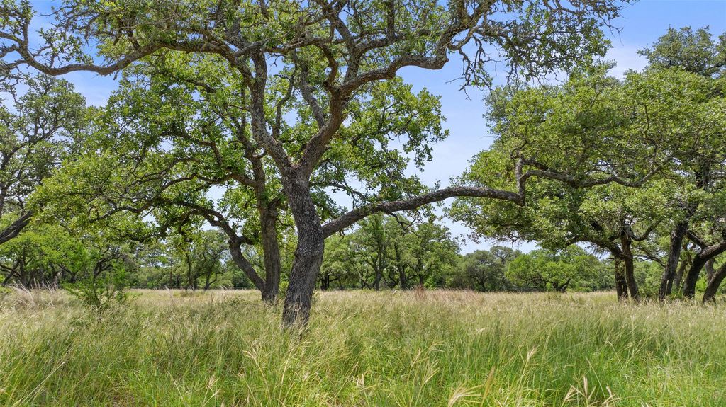 997 Sandy Oaks Ranch Rd, Johnson City, TX 78636