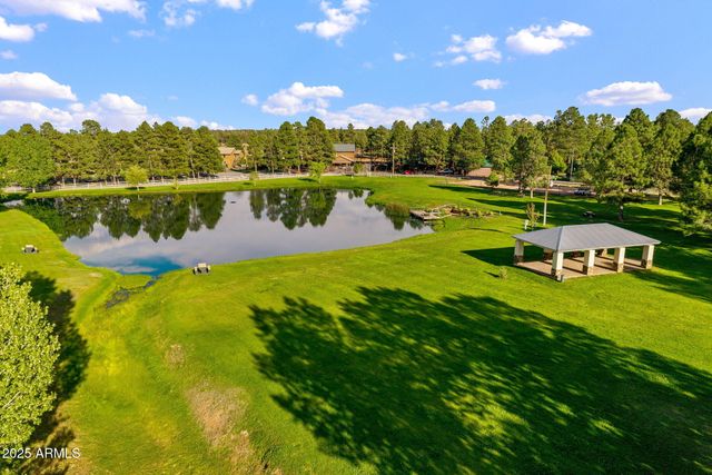 2702 COVERED WAGON Trail, Overgaard, AZ 85933