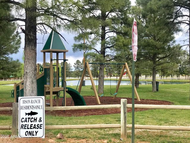 2702 COVERED WAGON Trail, Overgaard, AZ 85933