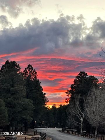 2702 COVERED WAGON Trail, Overgaard, AZ 85933