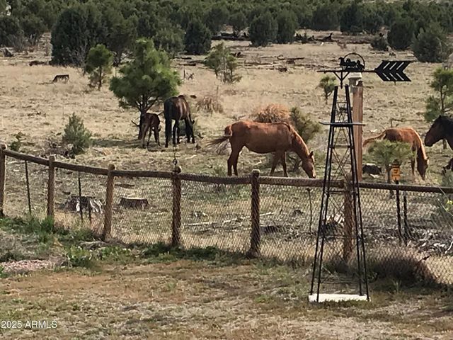 2702 COVERED WAGON Trail, Overgaard, AZ 85933