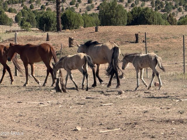 2702 COVERED WAGON Trail, Overgaard, AZ 85933