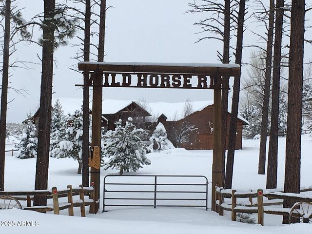 2702 COVERED WAGON Trail, Overgaard, AZ 85933