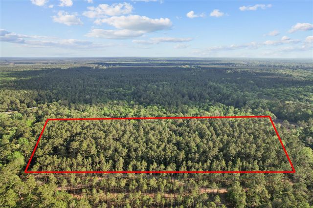 0 County Road 2116, Cleveland, TX 77327