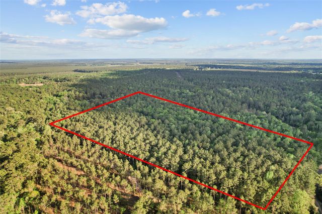 0 County Road 2116, Cleveland, TX 77327