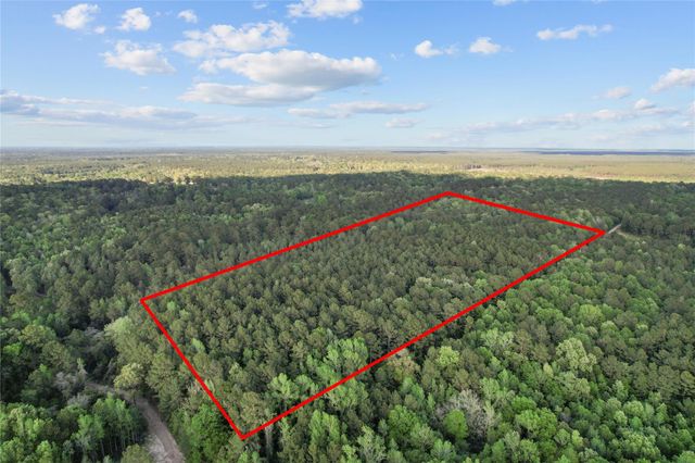 0 County Road 2116, Cleveland, TX 77327