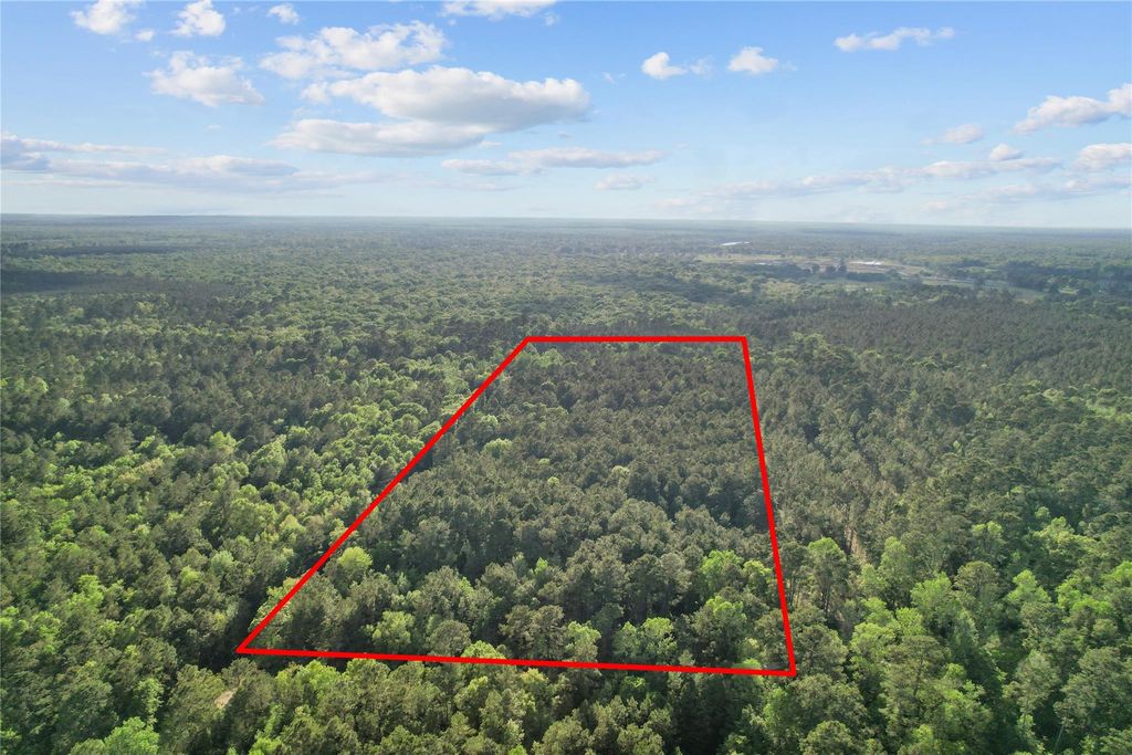 0 County Road 2116, Cleveland, TX 77327