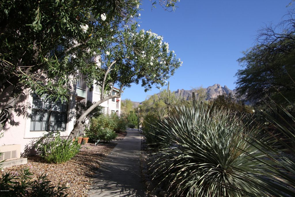 3230 E Calle de la Punta Apt 17, Tucson, AZ 85718