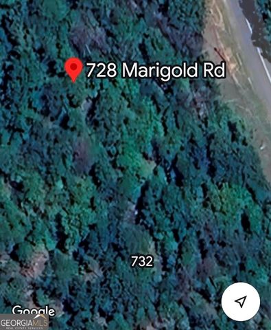 728 Marigold Road, Sparta, GA 31087