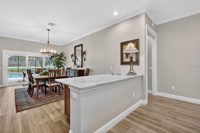 32 HICKORY HEAD HAMMOCK, The Villages, FL 32159